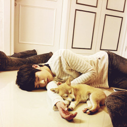  Sleeping puppies… 