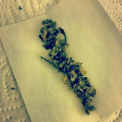 holidayhangovers:  #joint #weed #marijuana #pot #stoned #green