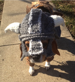 frodo-swagins:  geeksngamers:  Fus Ro Dog! - by Toshies (via