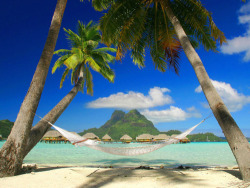 lilyshan:  #Merpher.L summer #tropical #hut #huts #paradise #luxury