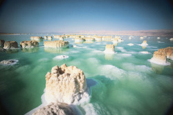 thescienceofreality:  Salt formations in the Dead Sea…“The