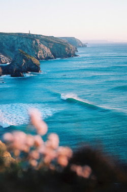 surferdude182:  by malpractice 