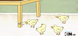 ruinedchildhood:  those ducks are thugs