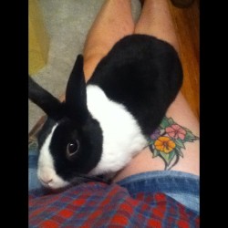 Climbing on her Aunt🐰 #bunny #tattoos #baby  (Taken with Instagram)