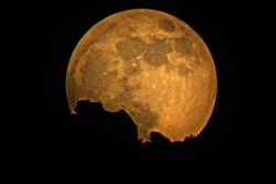 americasgreatoutdoors:  The full “blue” Moon was in full