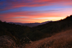 animals-plus-nature:  Ojai Sunset by castacant on Flickr.