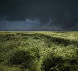 bluepueblo:  Thunderstorm, Tuscany, Italy photo via curzine