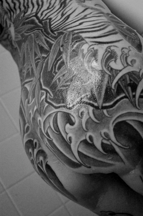 theburninglotus.tumblr.com/post/30960456621/