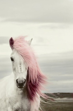 unicorns & glitter.♥