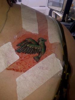 I got a new tattoo XD I love it. To me birds symbolize freedom