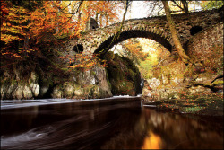 iwillbefamous:  Autumn Colours Hermitage Bridge by angus clyne