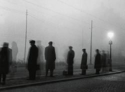 luzfosca:  Zdeněk Tmej  Morning, 1949 