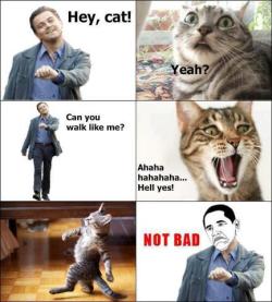 That's so meme