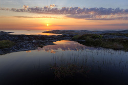 ragingcurrents:  Göteborgs Skärgård | Gothenburg Archipelago