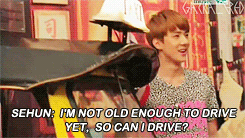 pandreos: sehun asked the MCs if he can drive the car