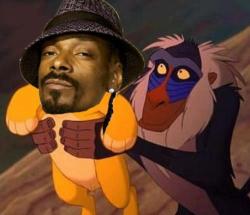 thatfunnyblog:  Snoop Lion Funny Stuff you like?