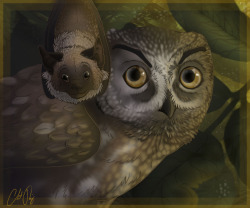 skidar:Feeling nostalgic?  Yus.Orestes (boreal owl) and Shade!(silverwing