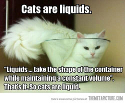 cats&hellip;are liquids :) &lsquo;nuff said!