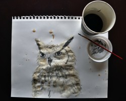 -loner:  An owl painted with coffee 