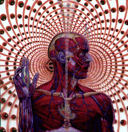 sirtroyofbaker:  Lateralus - ToolArtwork by Alex Grey 