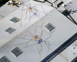 archiemcphee:  Look away arachnophobes, this awesome rooftop