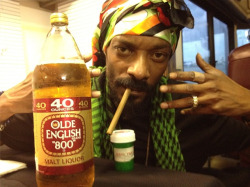 danktrees:  k-urb:  What the hell is snoop lion doing…lmao