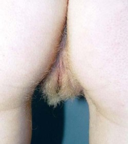 hairybushyc:  [ Hairy / Unshaved Women ]