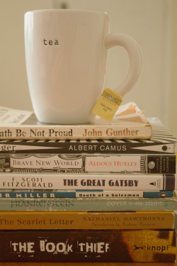 light-vs-darkness:  some great books there  A cuppa and great