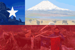 diegonotfound:  De que sirve ser chileno si no nos interesan