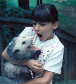 thequeenofdirt:  Opossums are so cutes. 