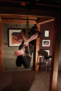 barefootguysroped:  more Seatle Treefort guys- suspended hogties