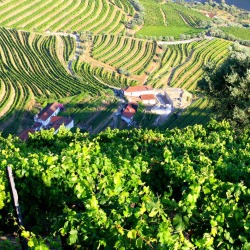 nitroglicerina-basica:  Portugal - Douro 