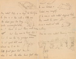 teencenterspl:  The Picture Letters of Beatrix Potter 