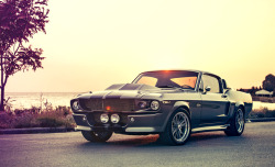 the-saraiacosta-elegance-engines:  jbheng:  1967 Ford Mustang