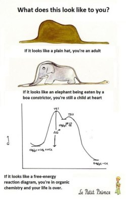 fuckyeah-chemistry:  fuck yeah thermodynamic and kinetic reaction