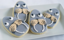 gastrogirl:  adorable walrus cookies. 