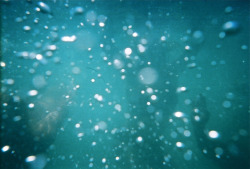 bumlog:  My favorites from the waterproof disposable camera that