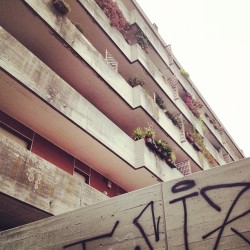 Architecture in Italy (Scattata con Instagram presso Centro Di