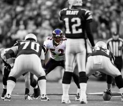 nflnewsandtalk:  Tom Brady Set To Battle Ravens - Both teams