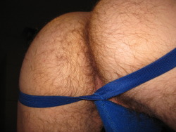 jockstrap-otter:  jockstrap-otter-deactivated2012: I am a hairy