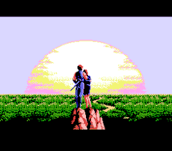 vgjunk:  Ninja Gaiden, NES.  STOP ENJOYING THE SUNSET, DO SOME