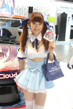 hkdmz:  Tokyo Game Show2012 (via HK-DMZ)