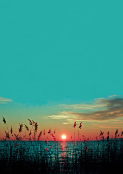 lmfaoswed:  Gorgeous colours! 