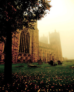 allthingseurope:  Durham Cathedral, England (by lucyshena) 