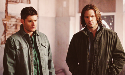 theprophetchuck:  rithe:   Dean and Sam in Season 8  #I cannot