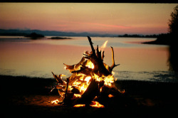summer bonfire