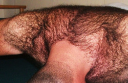 gymratskip:  “When Skippy Velcro'ed his hairy chest to my back