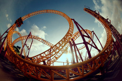 w-i-l-d-ocean:  posted :)