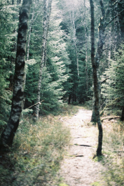common-paradox:  (by Matilde Viegas) I went for a walk with my