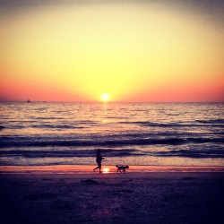 ashtea:  Last night was perfect with @m_eguiza 💏 #igerssandiego#sunsets#sandiego#delmar#beach#beaches#sun#perfect#love#dog#sandiegosunsets#beachlife